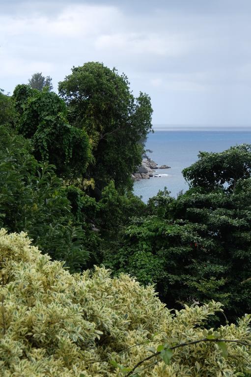 VI Miles Lodge Machabee Bagian luar foto